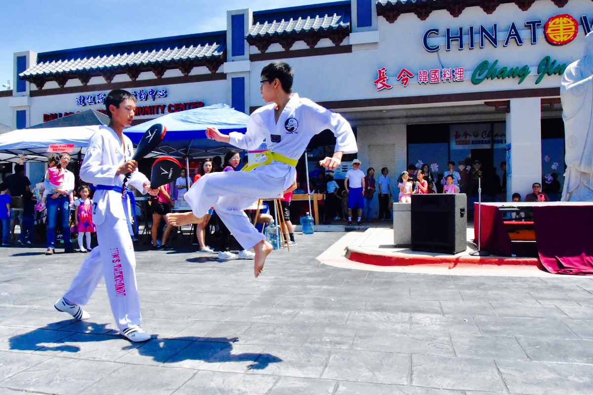 mins taekwondo kick demo